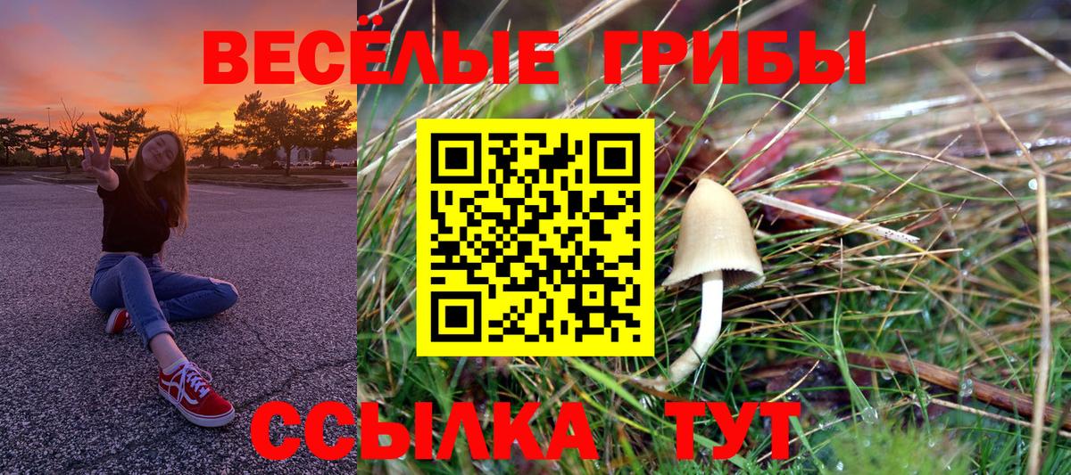 Псилоцибиновые грибы прущие грибы Горно-Алтайск