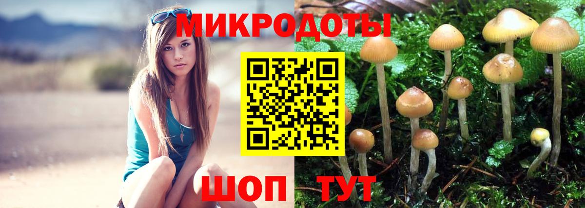 Горно-Алтайск  Псилоцибиновые грибы мухоморы  Вход с VPN 